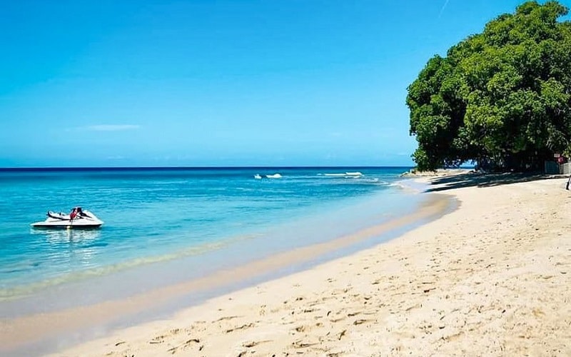 Fabulous things every traveler must experience in Barbados