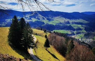 Jaw-Dropping Attractions To Visit In Black Forest, Germany