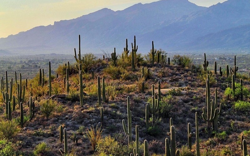 Awe-inspiring places to visit in Arizona