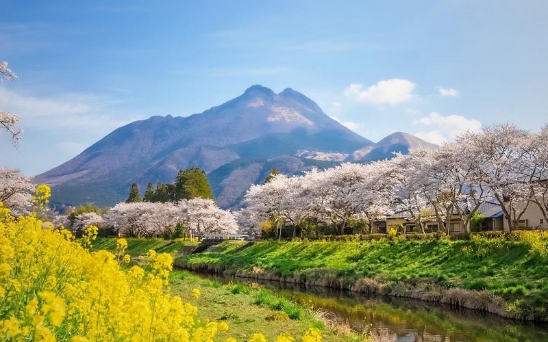 Things every traveler should know before visiting Japan