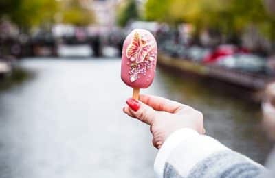 Food you must try while spending your time in Amsterdam